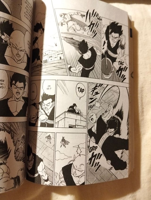 Dragon ball super 22 en francés