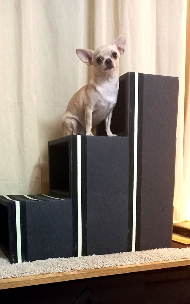 Macetero grande jardín plantas