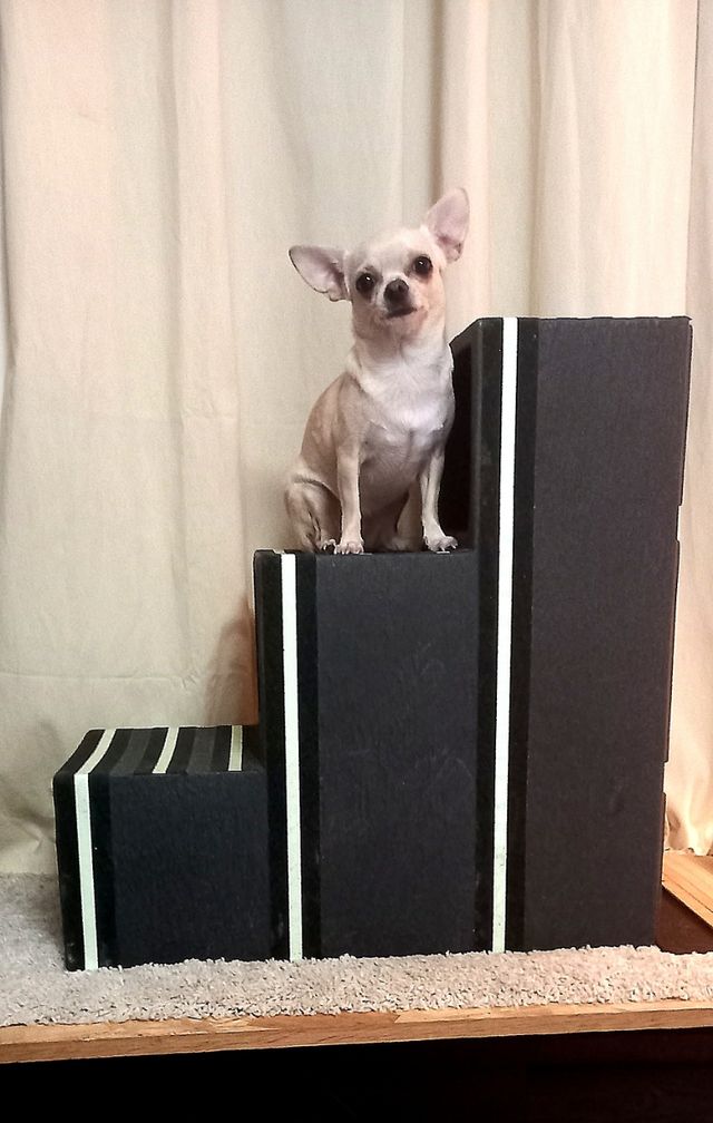 Macetero grande jardín plantas