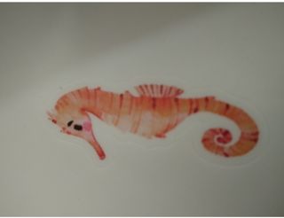 Fondo troquelado acuario, pecera, adornos