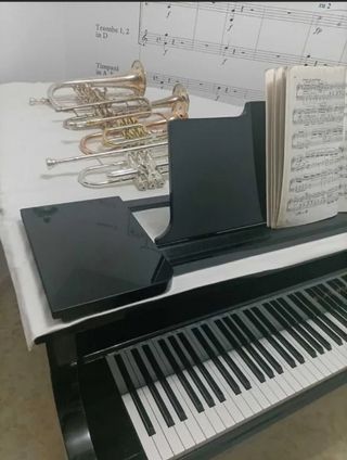 Clases Piano, Trompeta, Lenguaje musical, Armonía.