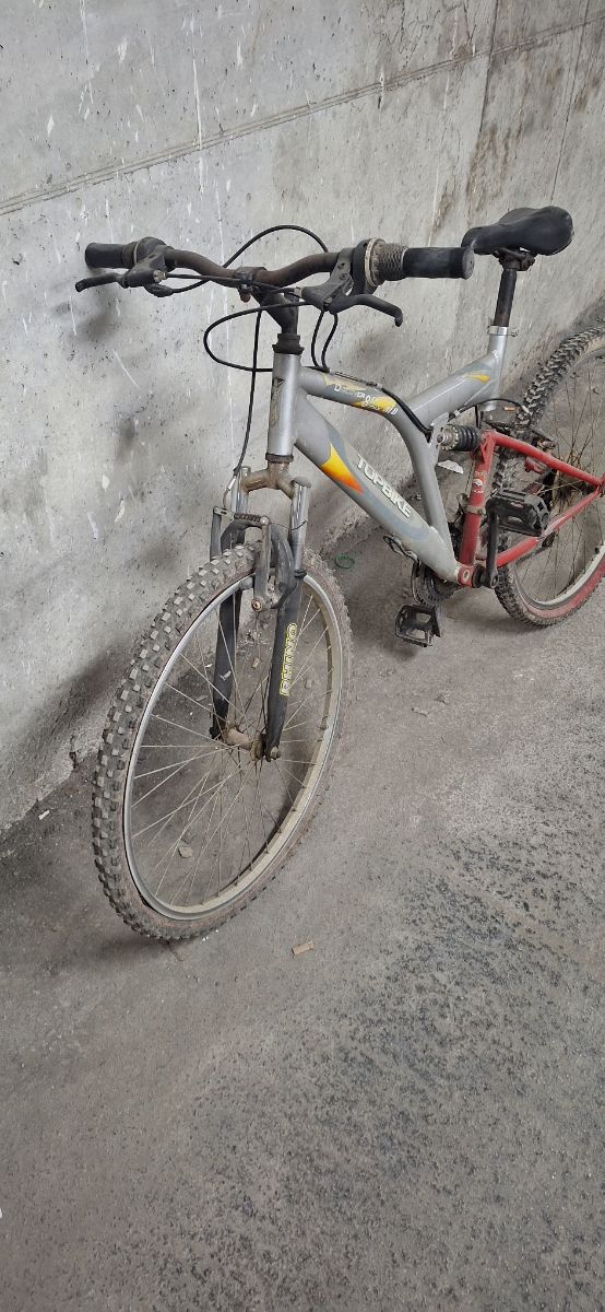 Bicicleta adulto