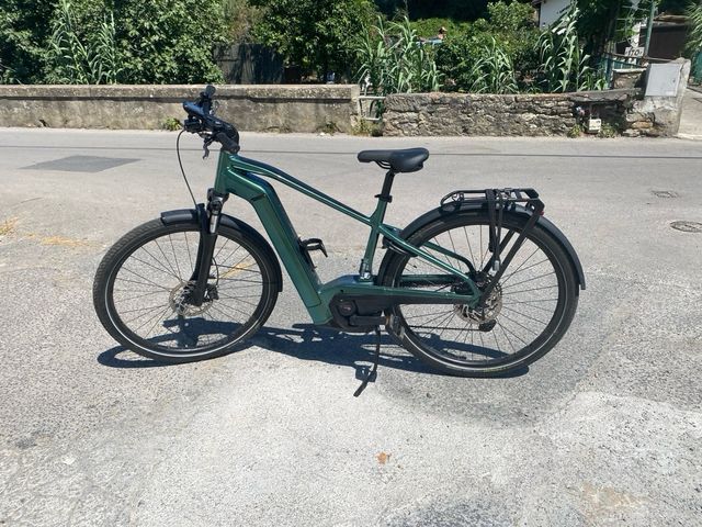 Bici elettrica 