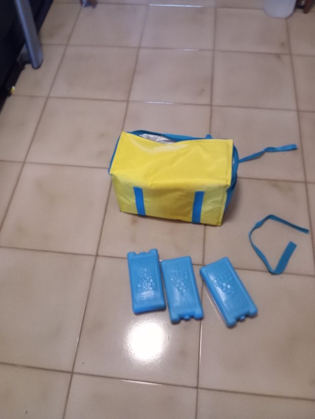 Borsa frigo con 3 ghiaccoli