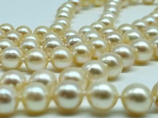 COLLAR PERLAS ORO Y DIAMANTES