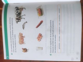 Ciencias de la Naturaleza Santillana 2°