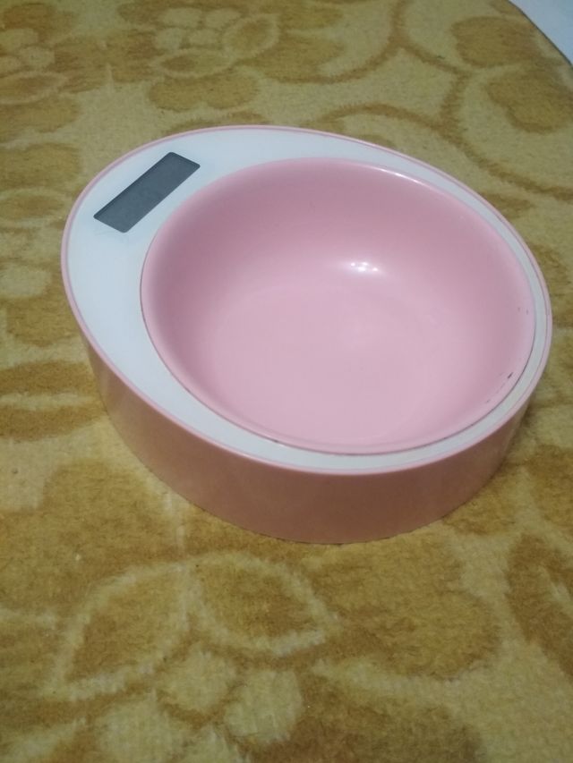 Comedero inteligente