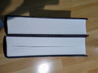 Don quijote ilustrado 2 tomos