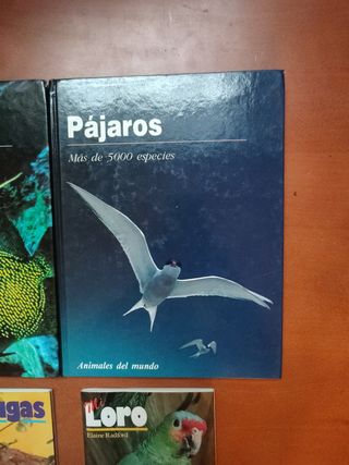 Lote 4 libros de animales, 2 con tapa dura