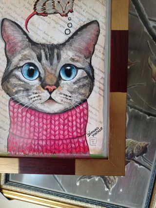 Gato Con Jersey 