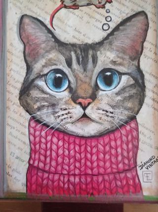Gato Con Jersey 