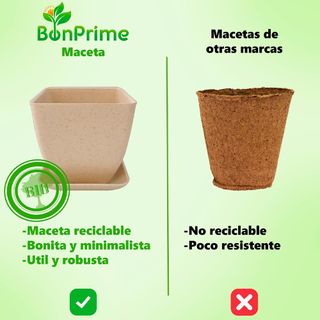 Kit de cultivo de bonsai. NUEVO sin usar.
