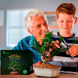 Kit de cultivo de bonsai. NUEVO sin usar.