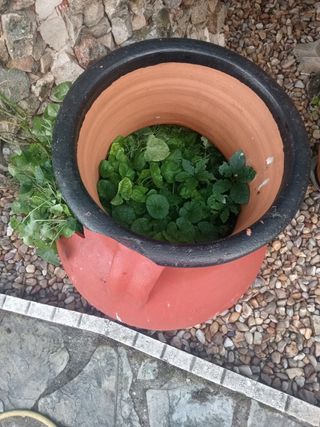 TINAJA GRANDE DE JARDÍN