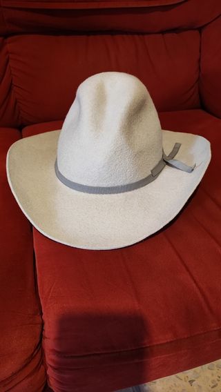 Sombrero western Gris 1893