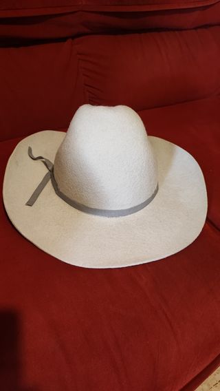 Sombrero western Gris 1893