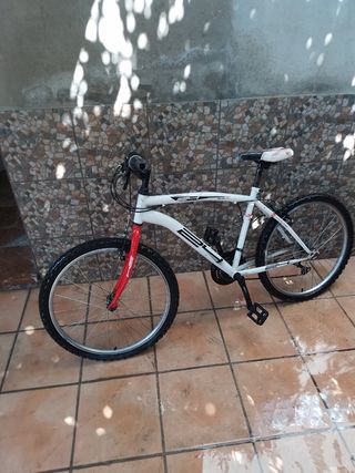 Bicicleta mediana 