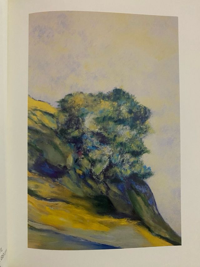 Felipe Hodgson “Las Nubes en su paisaje” 1998.