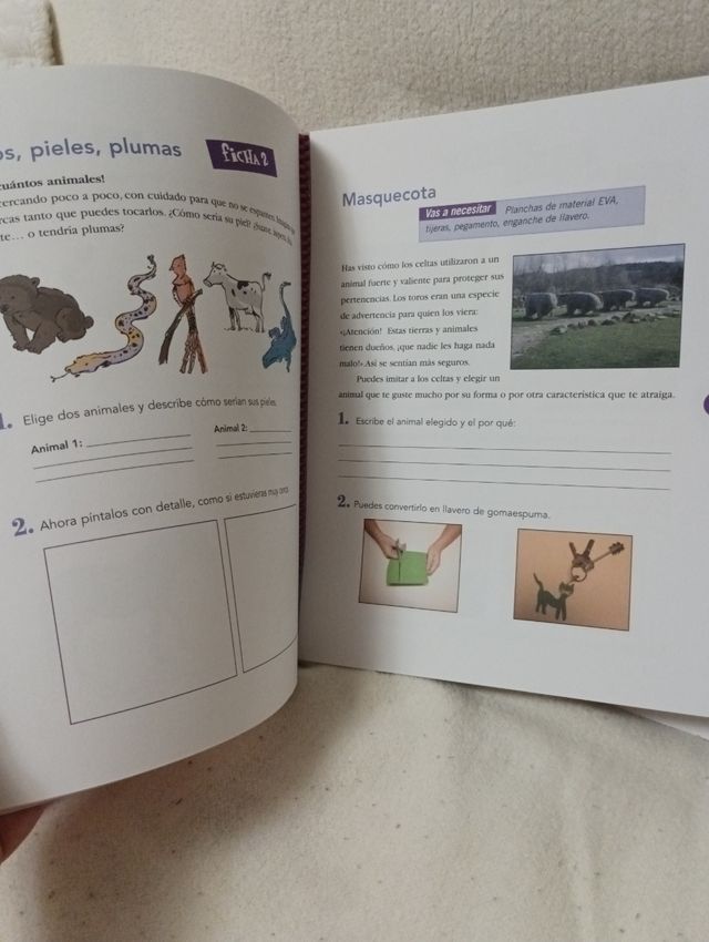 Bruño libro plástica 4 epo