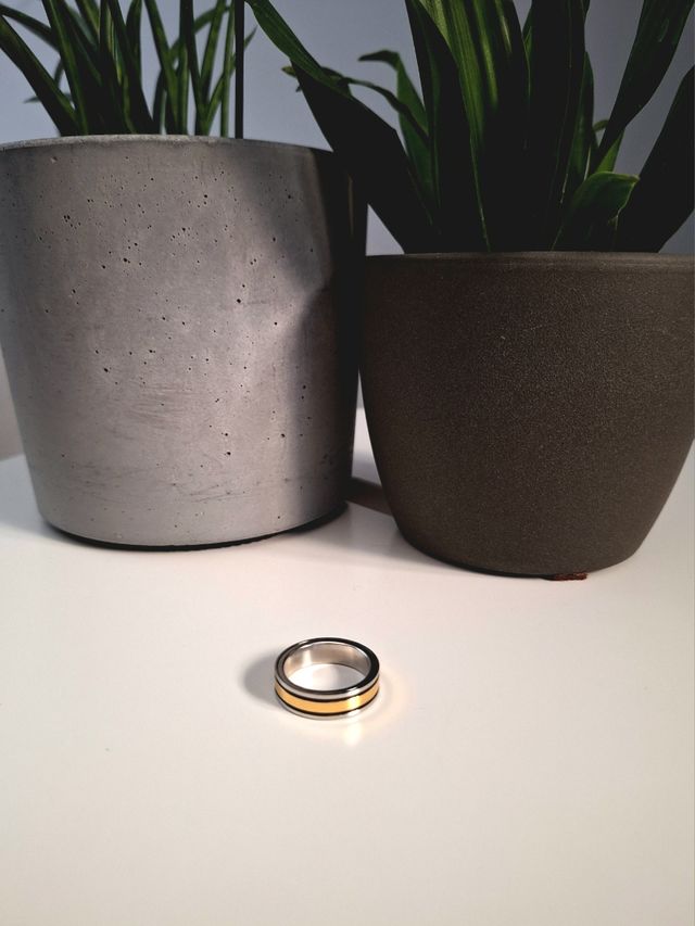 Anillo de acero dos colores