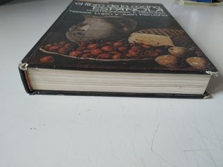 El libro de la cocina española