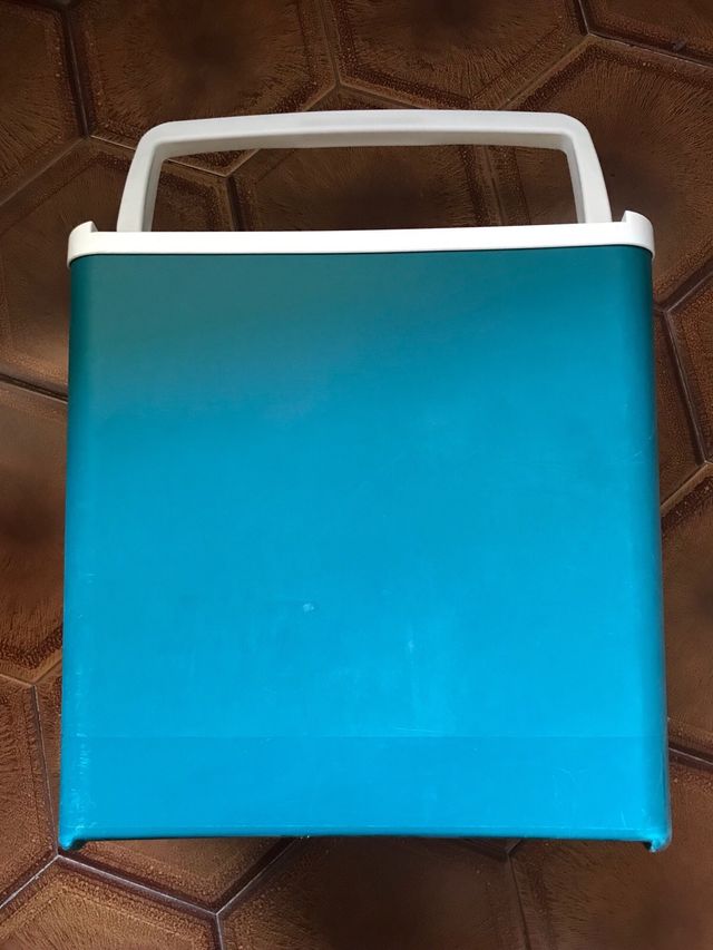 Frigorifero Electrolux portatile a 12volt