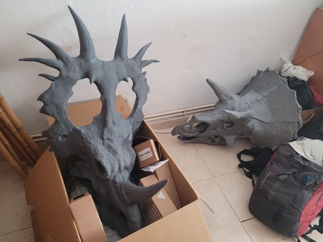 Dinosaurios - Cráneo de Styracosaurus 1:4