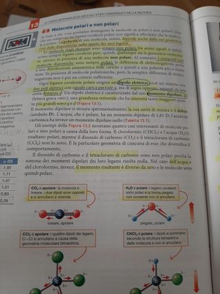 Dalla mole alla nomenclatura