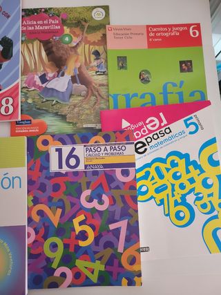 Lote libros repaso primaria