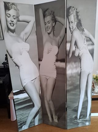 Biombos separador de ambientes