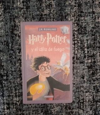 Libro Harry Potter,Hoy 16€