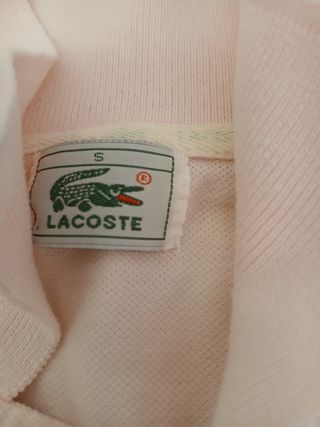 Polo lacoste verdadero