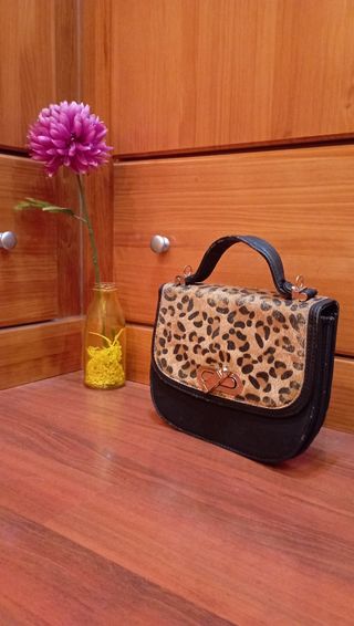 Bolso