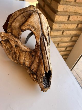 Mascara Craneo Perro