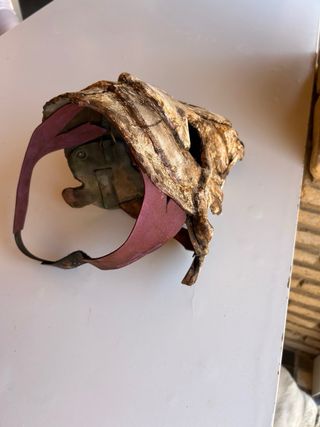 Mascara Craneo Perro