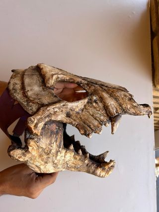 Mascara Craneo Perro