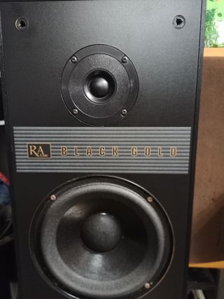 Altavoces Roy Allison Lab 4-A