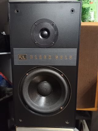 Altavoces Roy Allison Lab 4-A