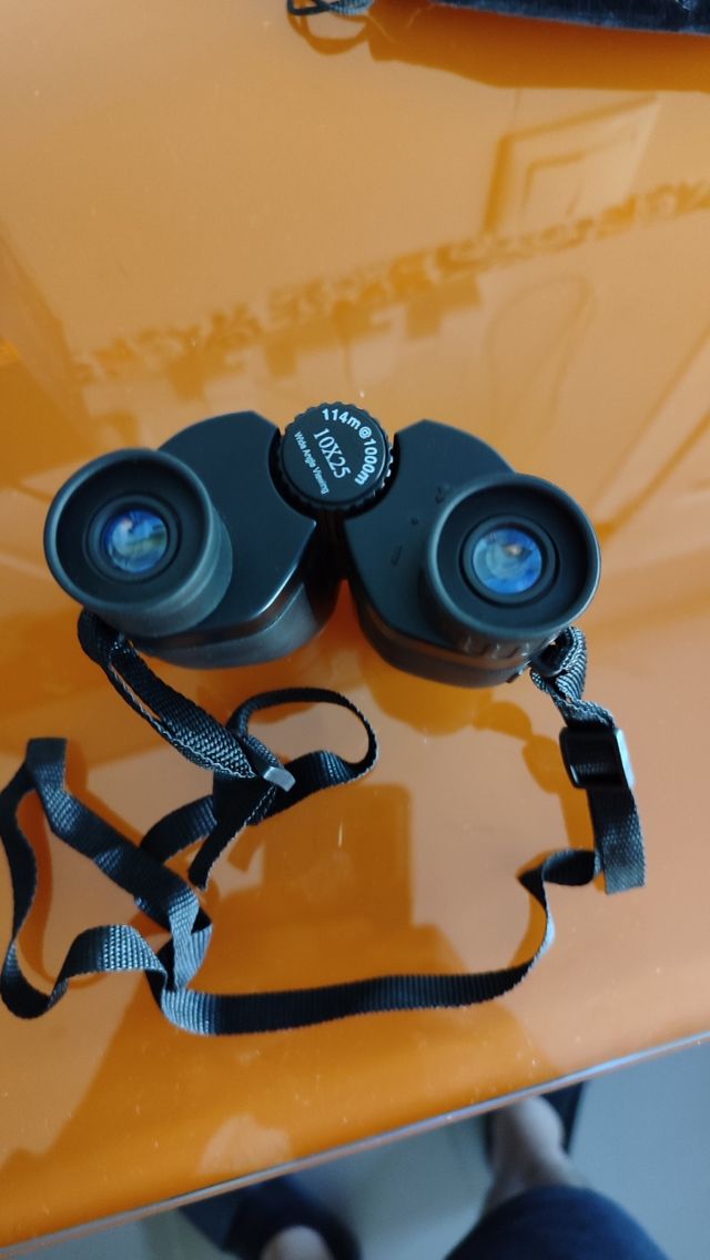 AT33 binoculares compactos