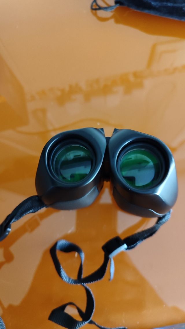 AT33 binoculares compactos