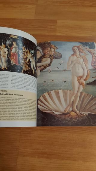 Guía Venecia Florencia Napoles Roma...