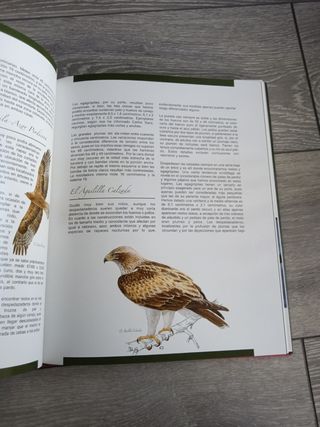 Libro La escritura de los animales