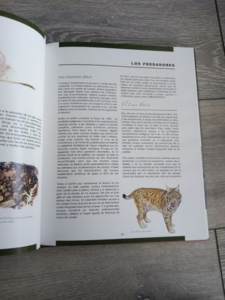 Libro La escritura de los animales