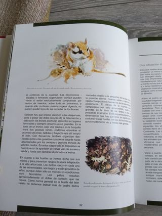 Libro La escritura de los animales