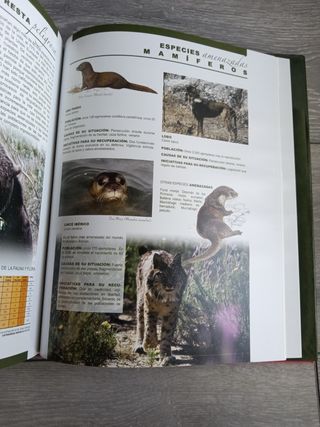 Libro La escritura de los animales