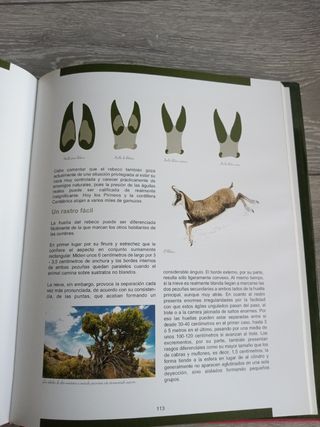 Libro La escritura de los animales