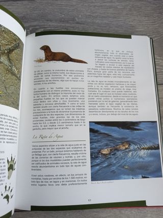 Libro La escritura de los animales