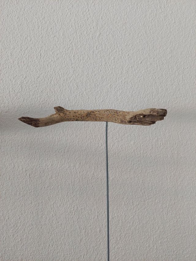 Escultura pez 01-2024