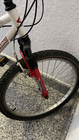 Bicicleta boomerag
