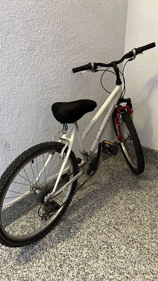Bicicleta boomerag
